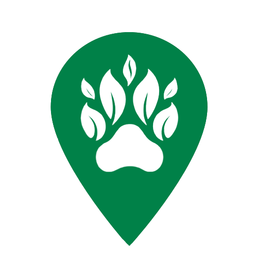 Previous year submission 11